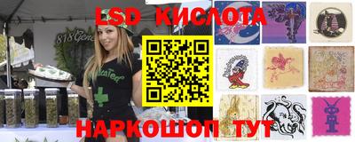 стаф Братск
