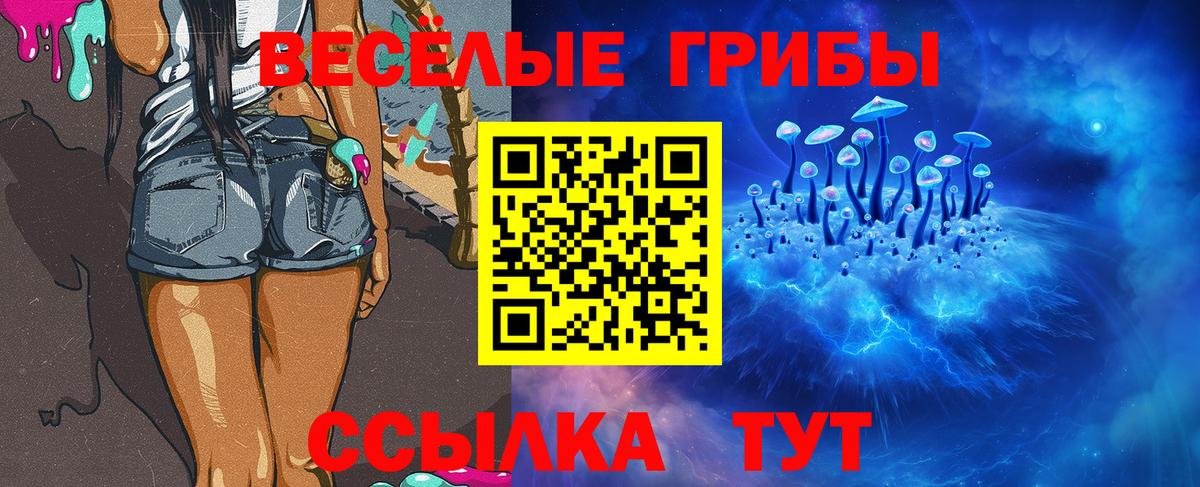 Светлоград  Галлюциногенные грибы прущие грибы  Вход с VPN 